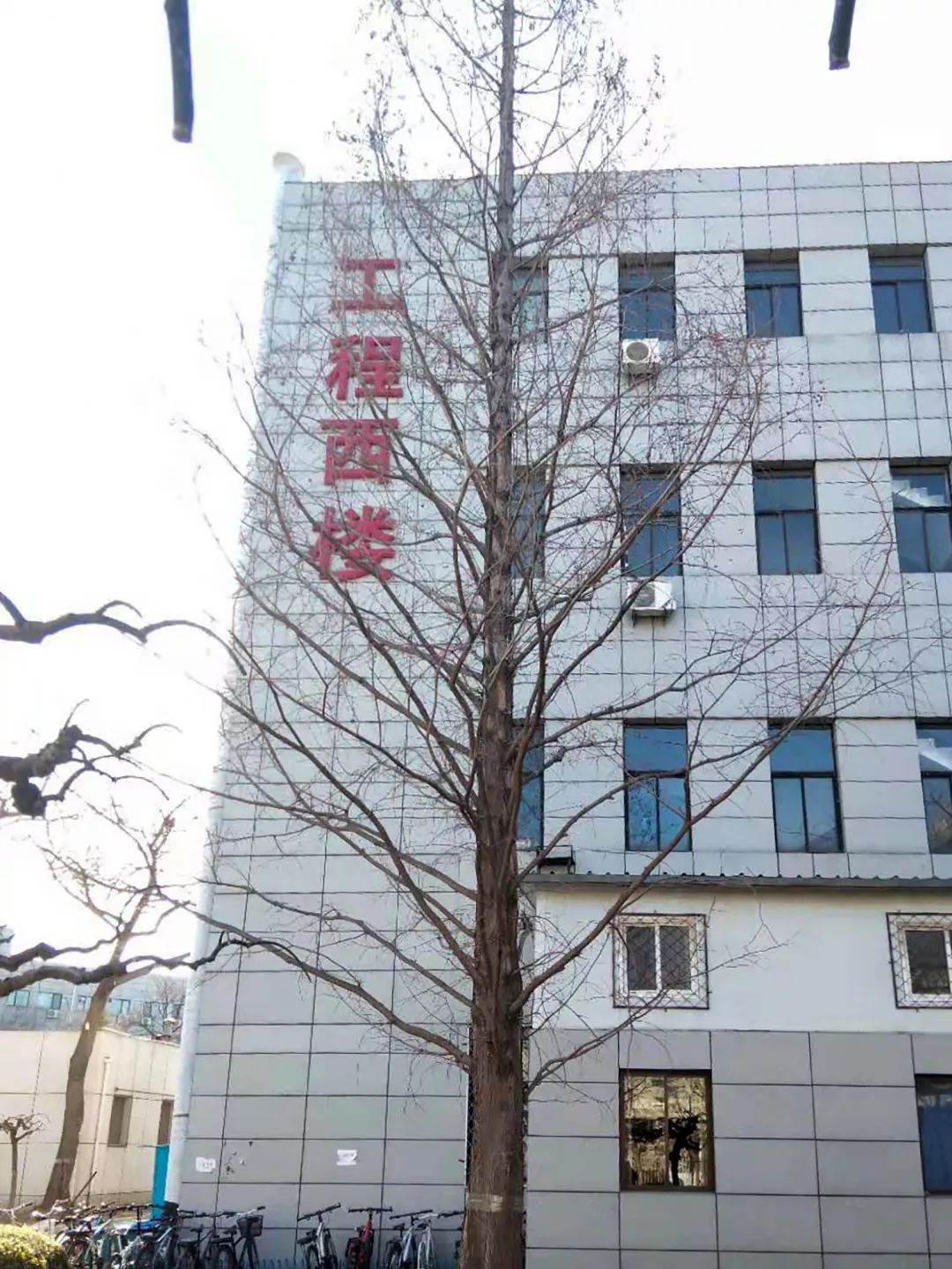 126a6105b45b46ba98c53cd44356dc7b.jpg 126a6105b45b46ba98c53cd44356dc7b.jpg