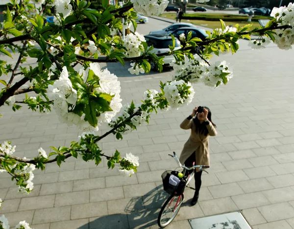 2d8959413e654c5e87d633fc094e6208.jpg 2d8959413e654c5e87d633fc094e6208.jpg