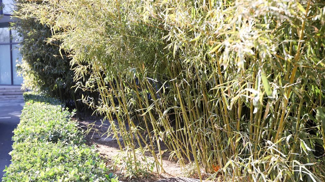 53a2480da2474be393905d3710c29aad.jpg 53a2480da2474be393905d3710c29aad.jpg