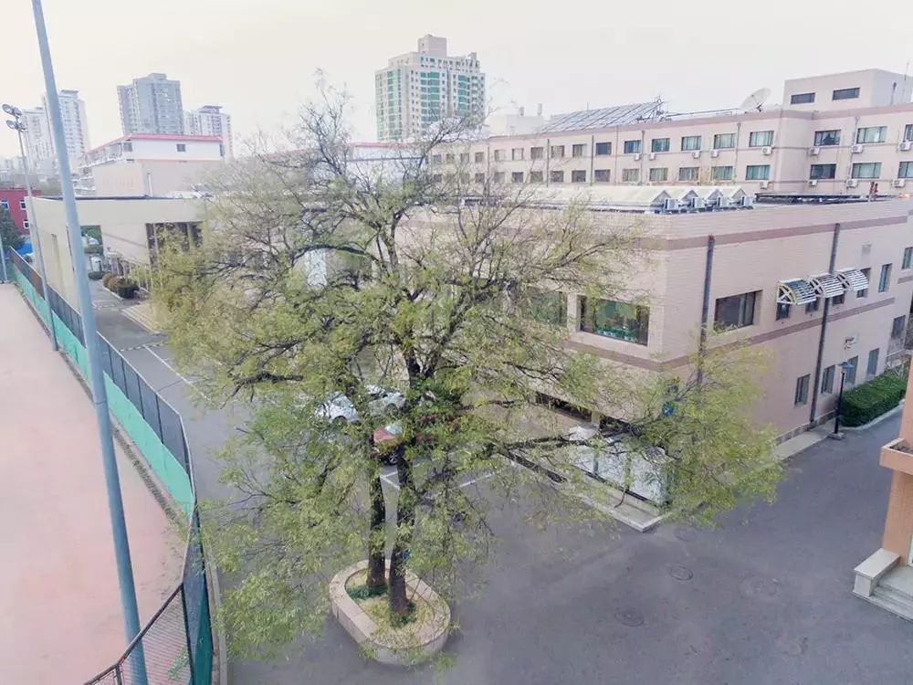 c4ae0ec0a3674a2dbbfc69f7e0921c8e.jpg c4ae0ec0a3674a2dbbfc69f7e0921c8e.jpg