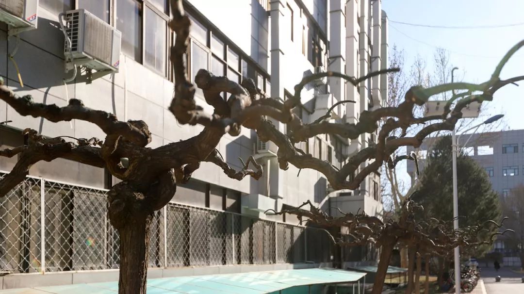 f2d1465c3b664e339c74202f0946fb3d.jpg f2d1465c3b664e339c74202f0946fb3d.jpg