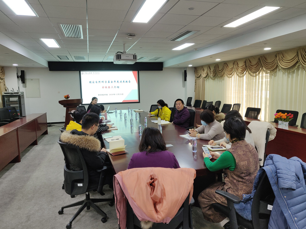 38629ba352d4496a8f8baa6d2e114526.jpg 2020年进展报告.jpg