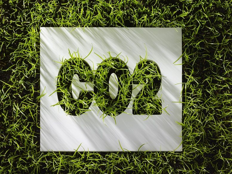 33d9faf3f423408aa50846f2cb64bb46.jpg 33d9faf3f423408aa50846f2cb64bb46.jpg